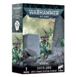 Señor Supremo con mortaja de translocación